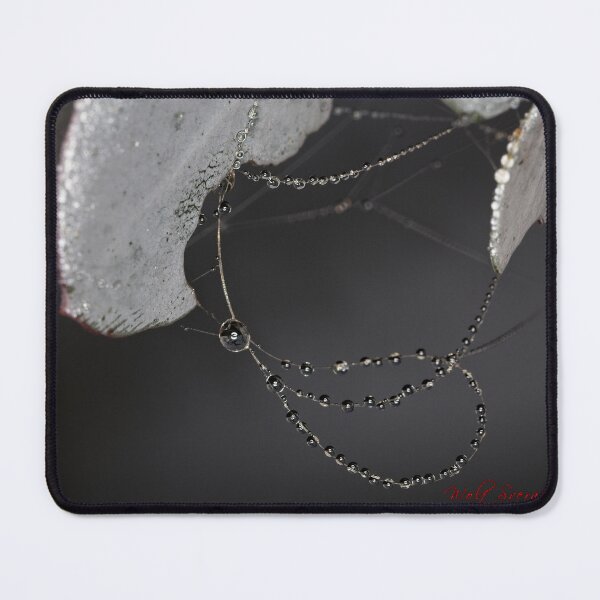 Item preview, Arboretum in autumn of 2023 (10) designed and sold by Wolf Sverak Photography.