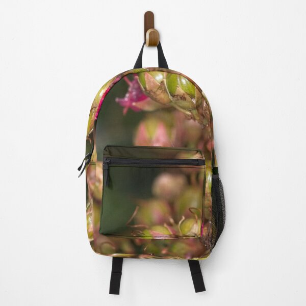 Item preview, Arboretum in autumn of 2023 (6) designed and sold by Wolf Sverak Photography.