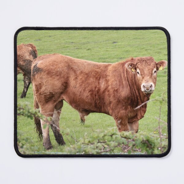 Item preview, That’s a load of … designed and sold by Sheila Smith.