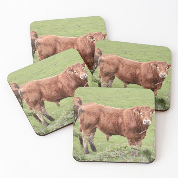 Item preview, That’s a load of … designed and sold by Sheila Smith.