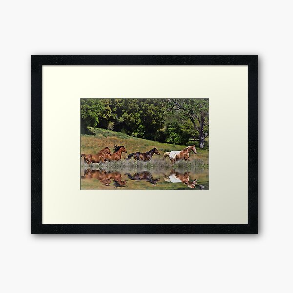 Beautiful Running Herd of Horses with Reflection Framed Art Print