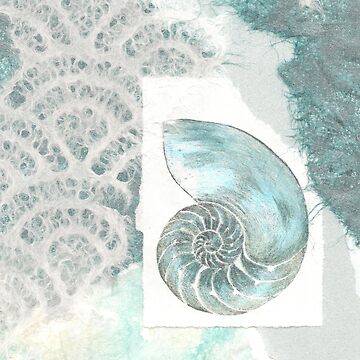 Artwork thumbnail, Chambered nautilus mixed media and collage by LisaLeQuelenec