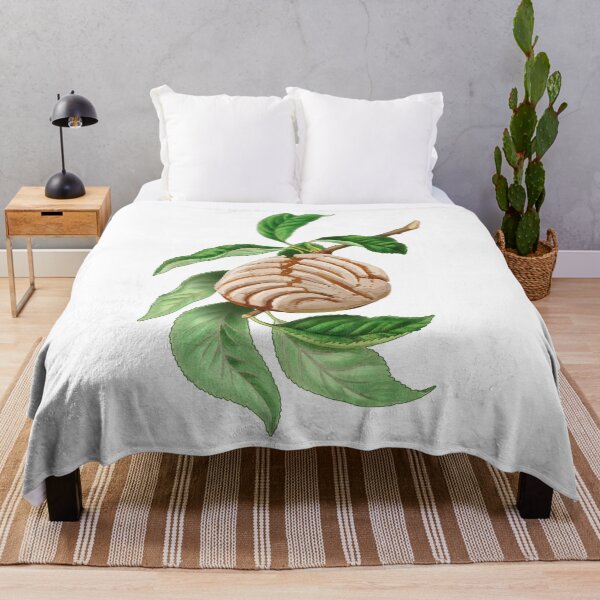 Item preview, Concha Mexican Sweet Bread Plant designed and sold by pablomendoza.