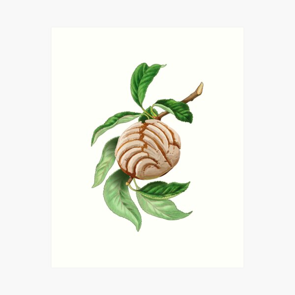 Item preview, Concha Mexican Sweet Bread Plant designed and sold by pablomendoza.