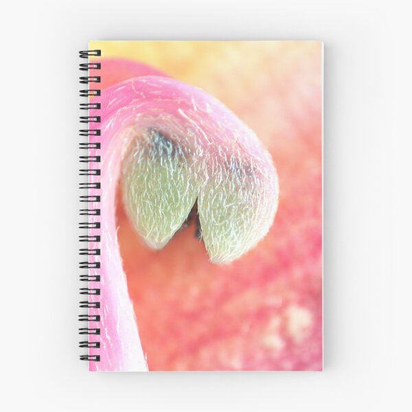 Item preview, Tickled Pink  designed and sold by Cassie Kitching.