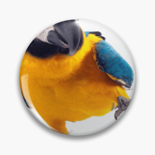 Item preview, blue winged orange parrot jumping happily designed and sold by Dexter-Block13.