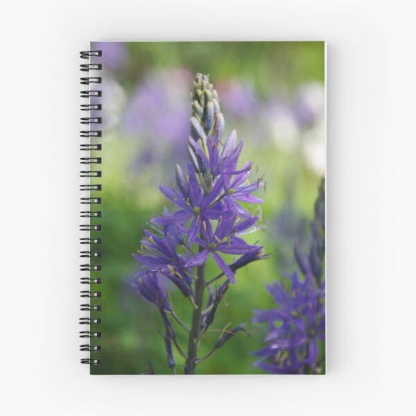 Item preview, Camassia cusickii  designed and sold by lezvee.