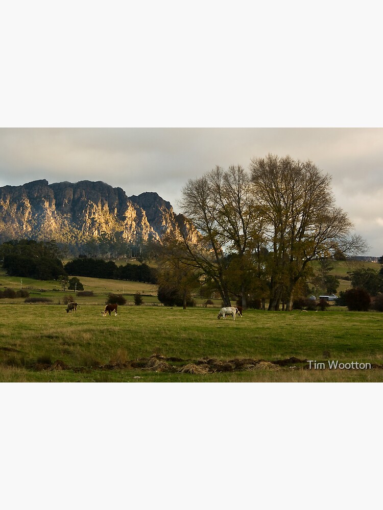 Thumbnail 3 of 3, Canvas Print, Last Light designed and sold by Tim Wootton.
