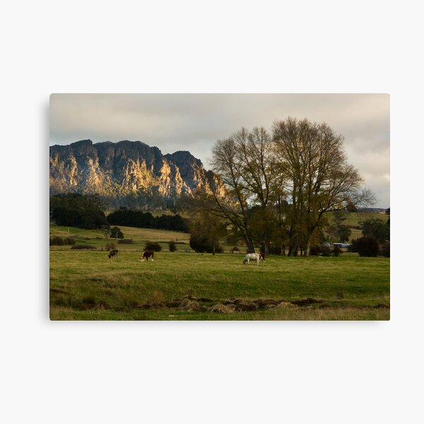 Canvas Print