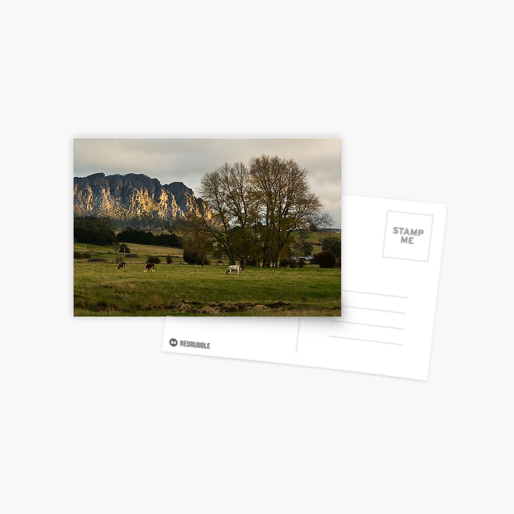 Item preview, Postcard designed and sold by wootton60.