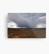Storm Front Metal Print