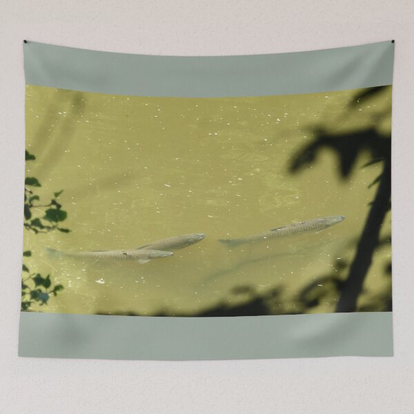 Item preview, Grasscarp designed and sold by mary02.