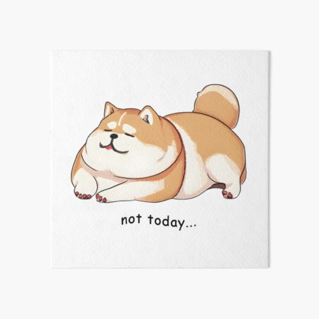 Puppy Sleeping Fat Lazy Dog Fat Pug Dog Funny Sleeping At Home