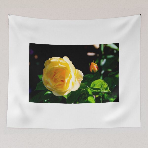 Item preview, A rose gift in spring designed and sold by jchanders.