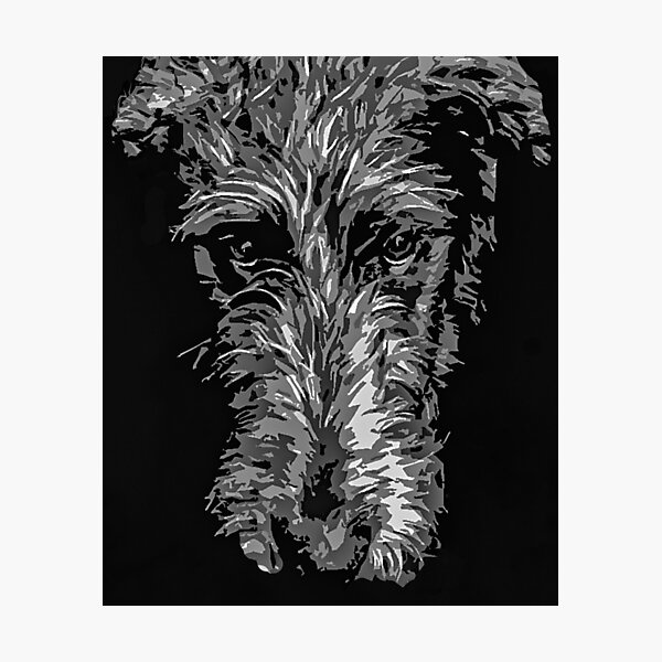 Isla Poster Photographic Print