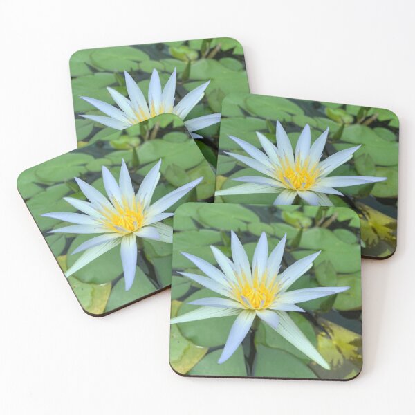 Item preview, water lillie designed and sold by Fun-Draw.