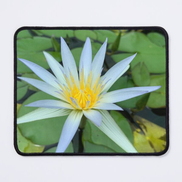 Item preview, water lillie designed and sold by Fun-Draw.