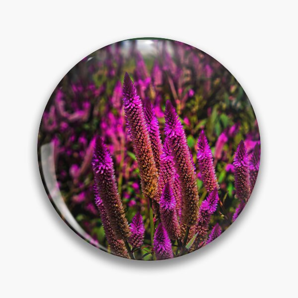 Artikelvorschau, Faszinierende Amaranthus II entworfen und verkauft von alabca.