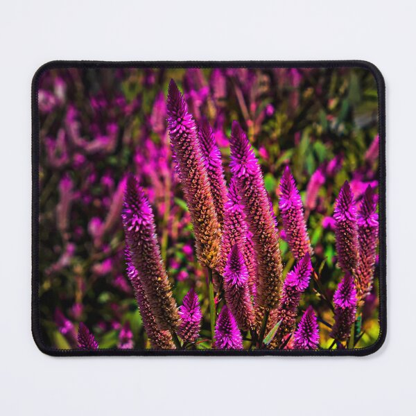 Item preview, Intriguing Amaranthus II designed and sold by alabca.