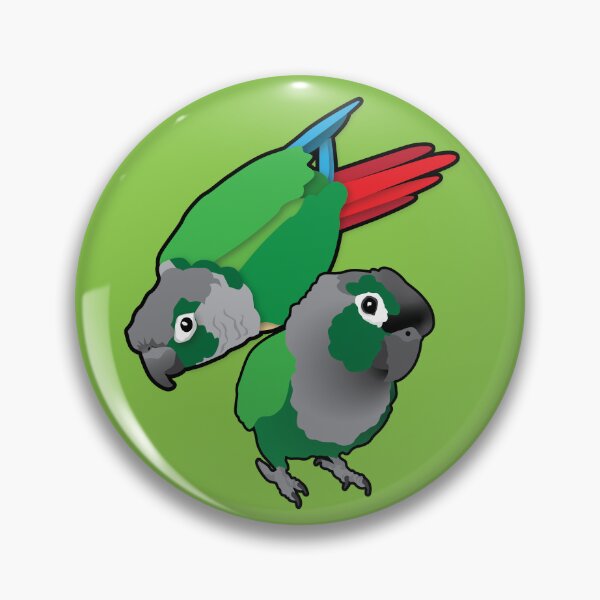 Item preview, Two mischievous Green Cheek Conure Parrots designed and sold by StuffInBetween.