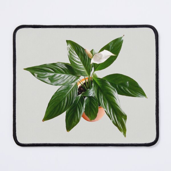 Item preview, Peace lily in an orange vase original artwork designed and sold by paragonDesign28.