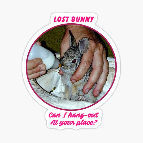 Lost Bunny Sticker