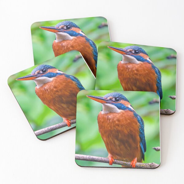 Item preview, Glorious Kingfisher designed and sold by George Kelsey.