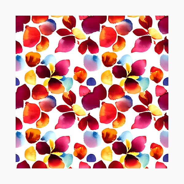 Photographic Print