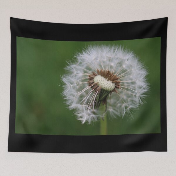 Item preview, Dandelion Wishes designed and sold by LisaNaturePhoto.