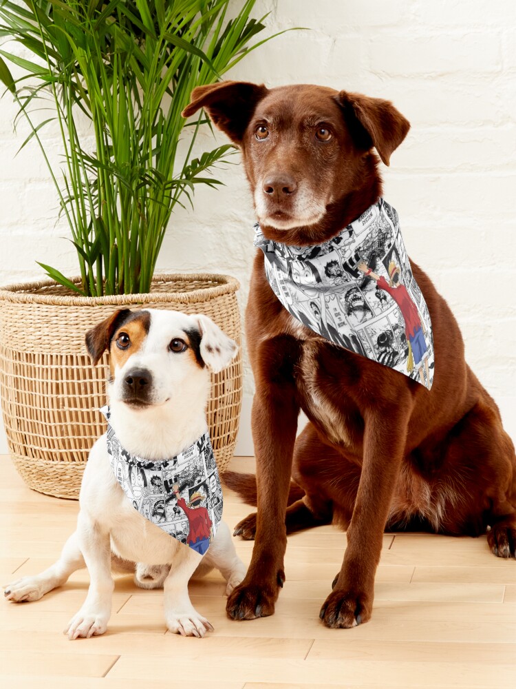 Dog pirate outlet bandana