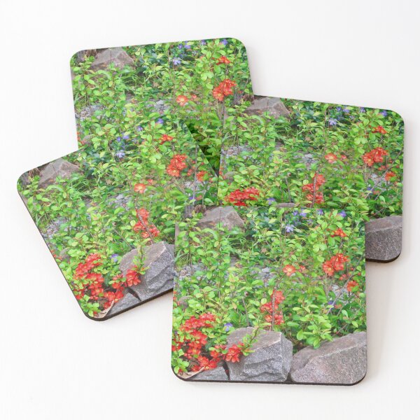 Item preview, Rock Garden designed and sold by Shulie1.