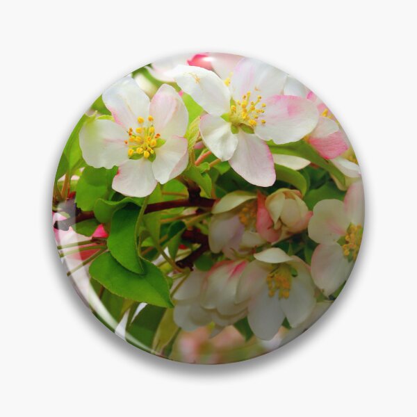 Item preview, Bradford Pear Tree Branch designed and sold by BostonArcImage.