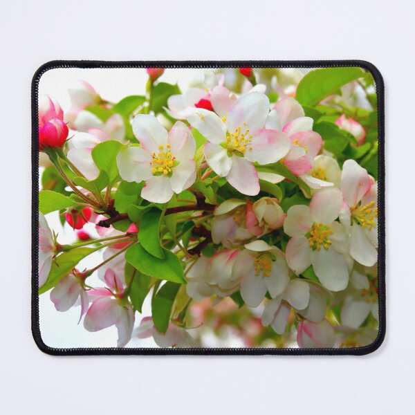 Item preview, Bradford Pear Tree Branch designed and sold by BostonArcImage.