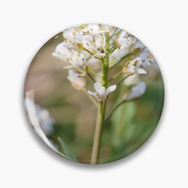 Item preview, Alpine penny-cress flower designed and sold by Jouko Lehto Photography.