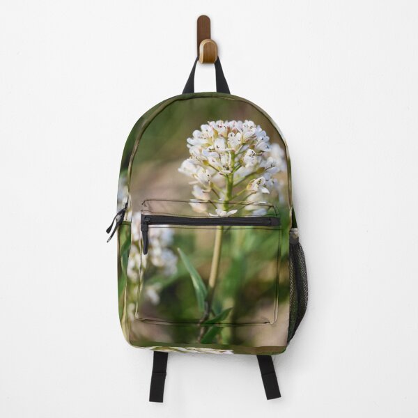 Item preview, Alpine penny-cress flower designed and sold by Jouko Lehto Photography.