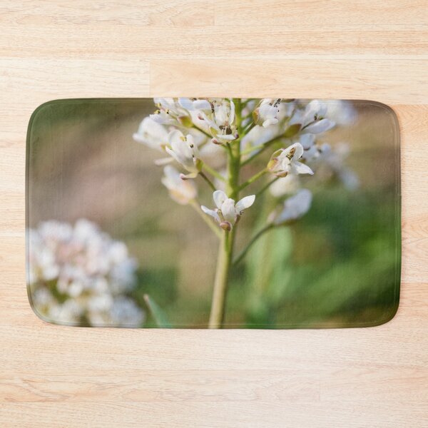 Item preview, Alpine penny-cress flower designed and sold by Jouko Lehto Photography.