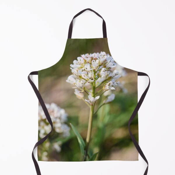 Item preview, Alpine penny-cress flower designed and sold by Jouko Lehto Photography.