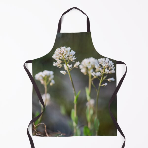 Item preview, Dreamy Alpine penny-cress designed and sold by Jouko Lehto Photography.
