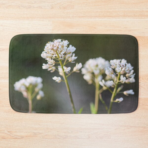 Item preview, Dreamy Alpine penny-cress designed and sold by Jouko Lehto Photography.