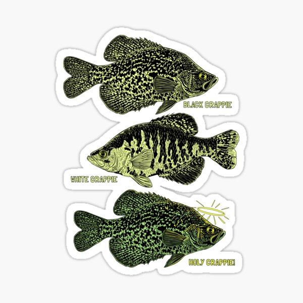 Black Crappie Stickers for Sale, Free US Shipping