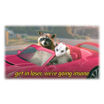 Artwork thumbnail, Get in loser, we're going insane raccoon possum word art - film quote version by snazzyseagull