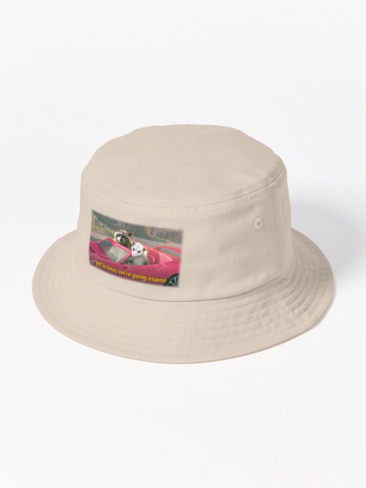 https://ih1.redbubble.net/image.5017851257.9897/ssrco,bucket_hat,product,e5d6c5:f62bbf65ee,primary,wide_portrait,750x1000-bg,f8f8f8.u1.jpg