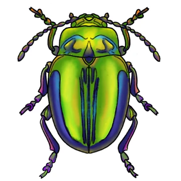 Artwork thumbnail, Beetletime by Rabbittooth