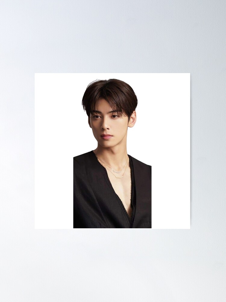 Cha Eun-woo Poster for Sale by TheAsianSide