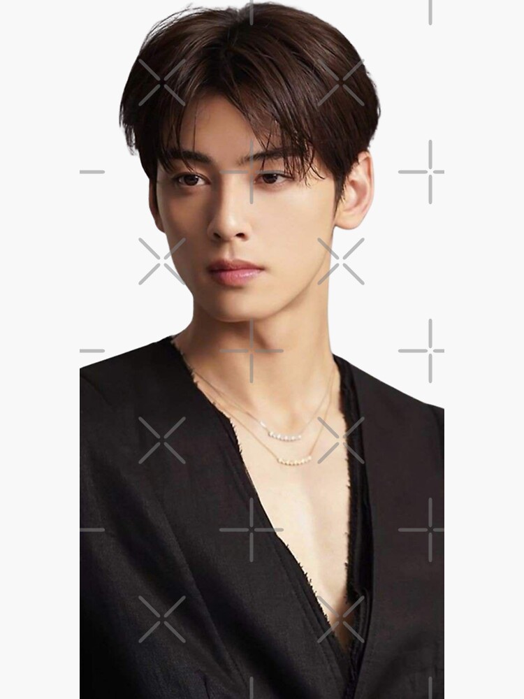 Cha Eun Woo - V8 Sticker for Sale by shoppinggalore