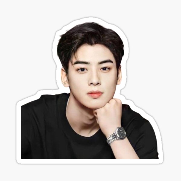 Cha eun woo astro member  Sticker for Sale by Divya21