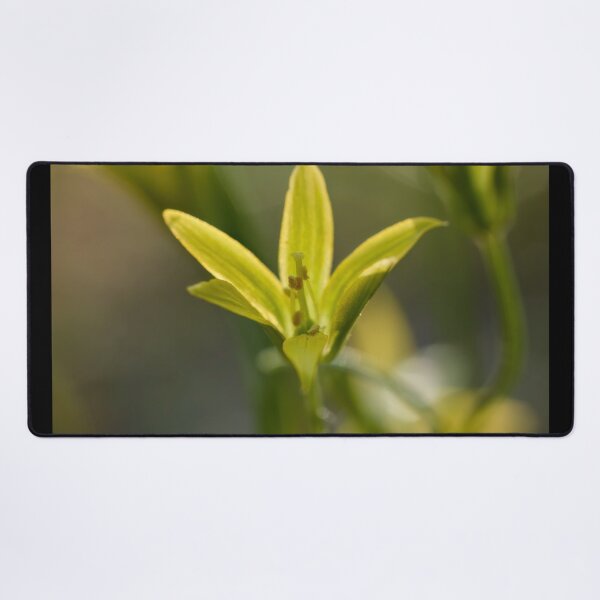 Item preview, That small lily. Least Gagea designed and sold by Jouko Lehto Photography.