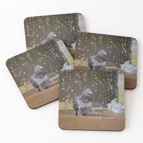Item preview, Pigeon Pamper Pool designed and sold by GingerMan2550.