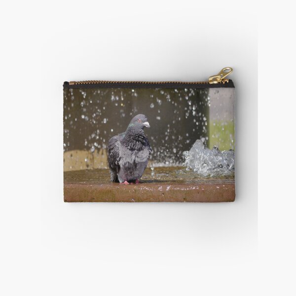 Item preview, Pigeon Pamper Pool designed and sold by GingerMan2550.