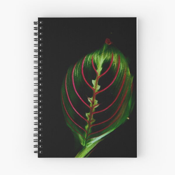 Item preview, Loner leaf  designed and sold by Kaurjas.